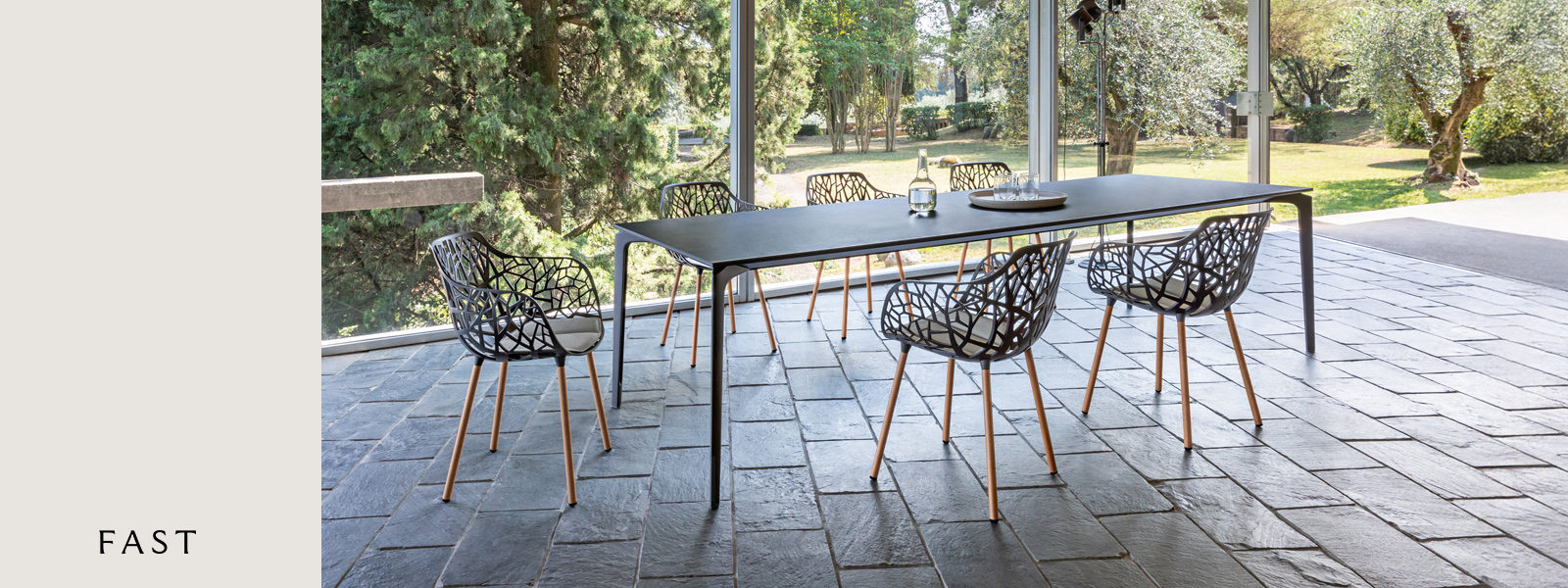 FAST Forest Slide background